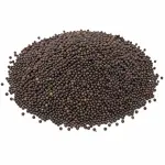 আস্ত সরিষা (১কেজি) - Mustard Seeds (1kg)