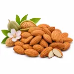 কাঠবাদাম | Kath Badam | Almond